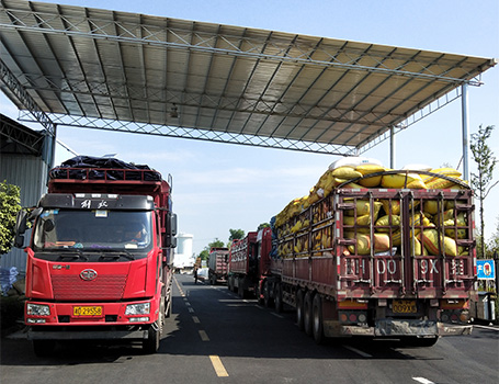 湖南M88体育官网
塑料物流便捷